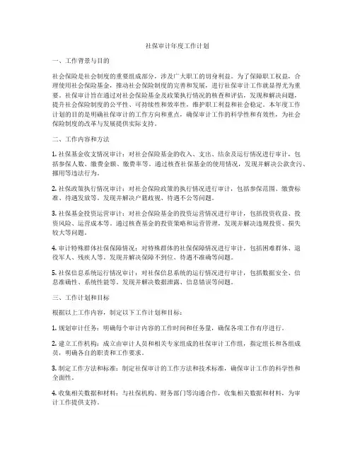 社保审计年度工作计划