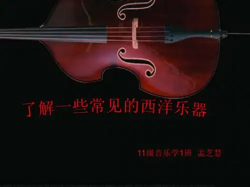 西洋乐器