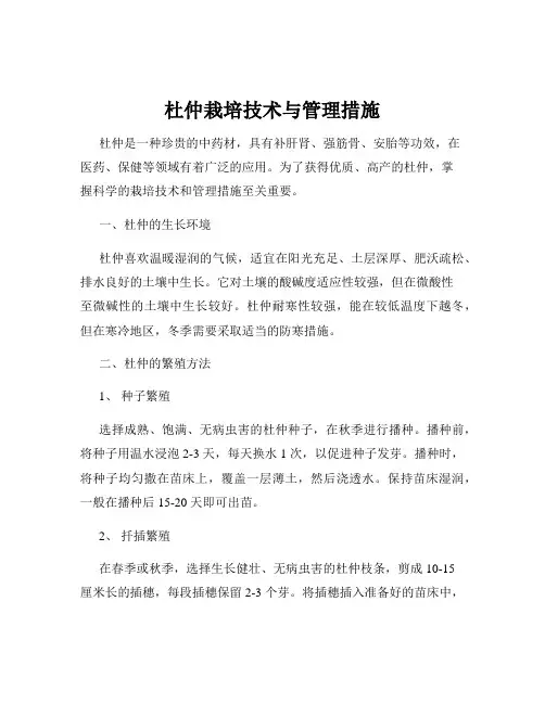 杜仲栽培技术与管理措施