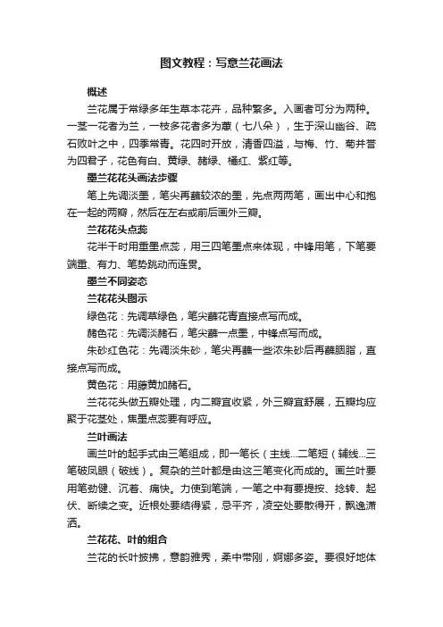 图文教程：写意兰花画法
