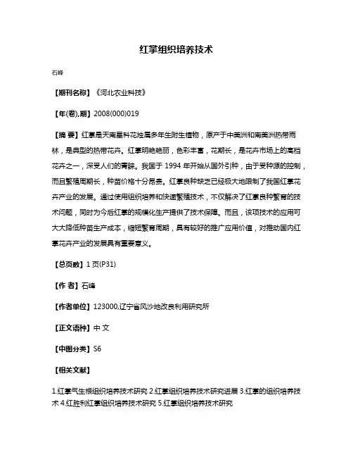 红掌组织培养技术