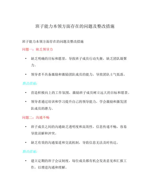 班子能力本领方面存在的问题及整改措施