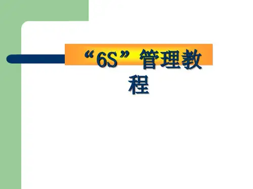 “S”培训教程