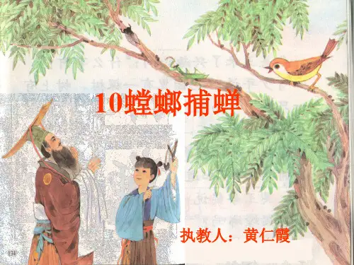 10《螳螂捕蝉》PPT课件