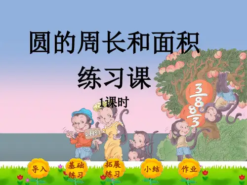 《圆的周长和面积练习课》完美版课件