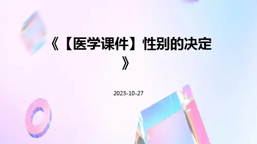 【医学课件】性别的决定