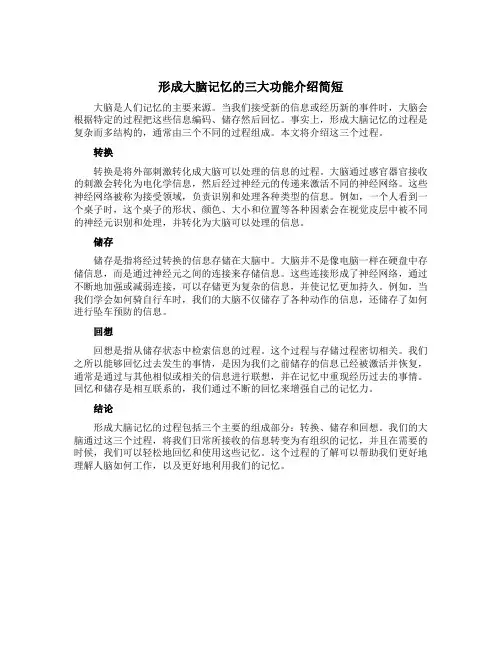 形成大脑记忆的三大功能介绍简短,形成大脑记忆的三大功能