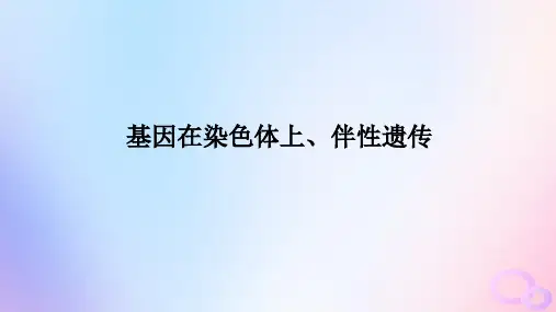 2024版新教材高考生物全程一轮总复习第五单元遗传的基本规律课堂互动探究案3基因在染色体上伴性遗传课