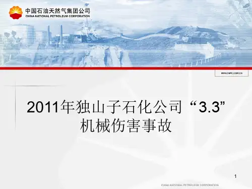 独山子石化公司“3.3”机械伤害事故--一处