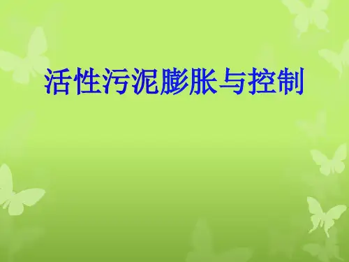 污泥膨胀