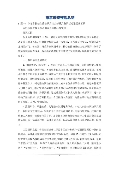 市容市貌整治总结