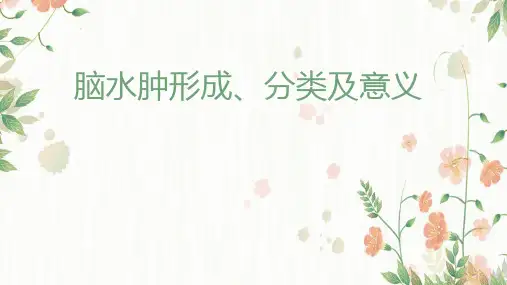 脑水肿形成分类及意义影像诊断
