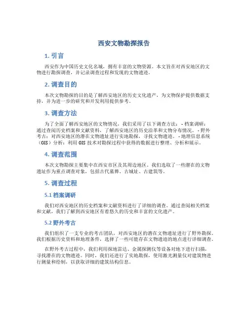 西安文物勘探报告