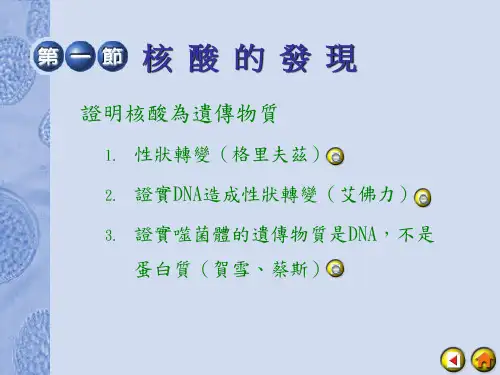 原核与真核生物转录及转译的比较