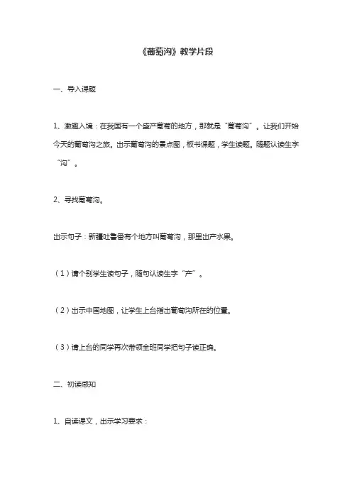 《葡萄沟》优秀教学片段