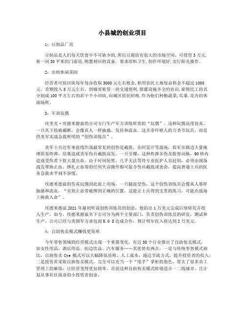 小县城的创业项目