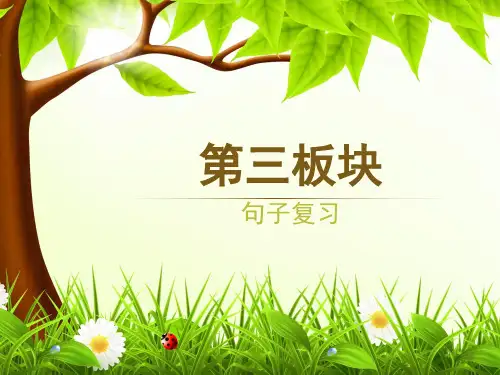 部编版二年级语文下册句子复习资料