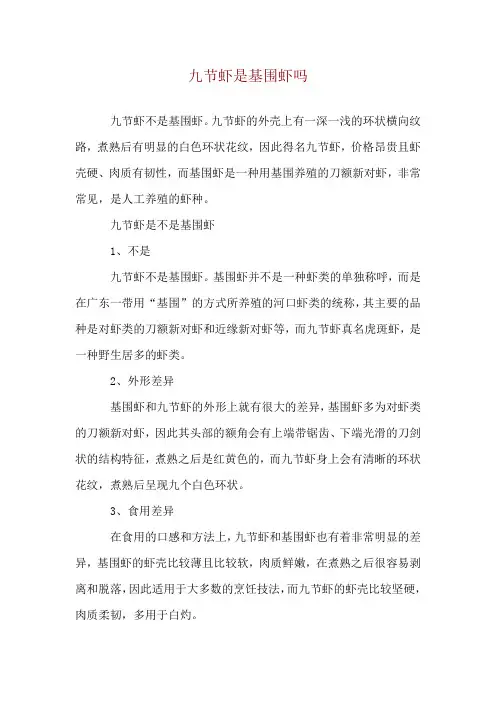 九节虾是基围虾吗