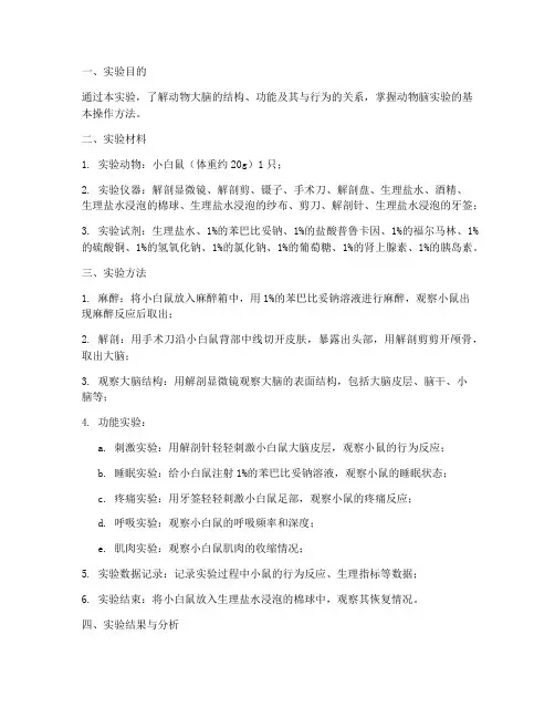 动物脑实验报告