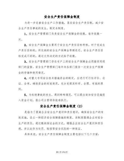 安全生产责任保障金制度（5篇）