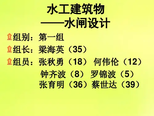 水工建筑物-水闸设计图