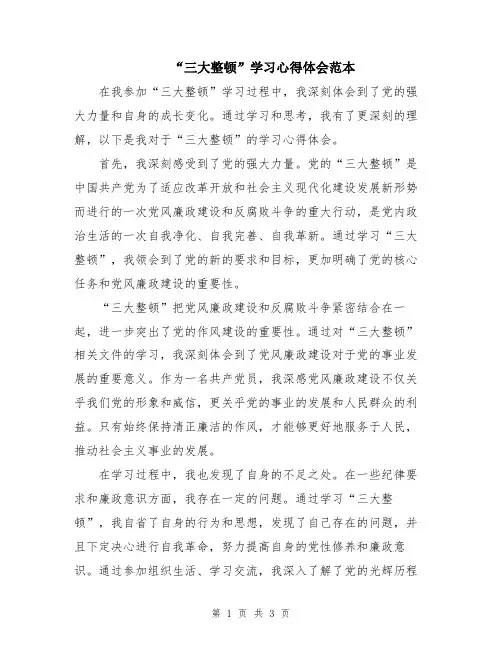 “三大整顿”学习心得体会范本