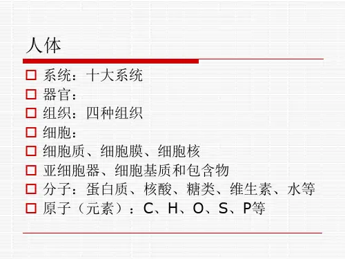 人体成分