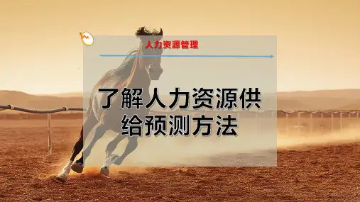 了解人力资源供给预测方法