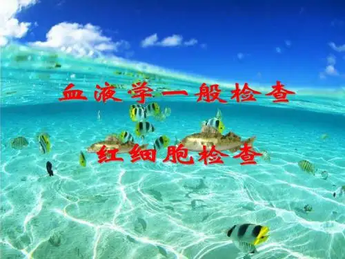 血液学一般检查