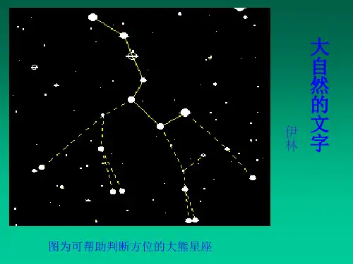 大自然的文字T课件