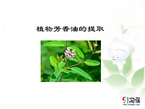 课件12：6.1 植物芳香油的提取