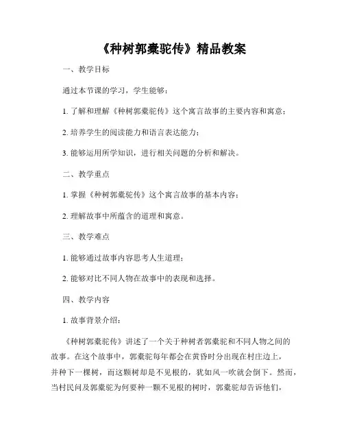 《种树郭橐驼传》精品教案