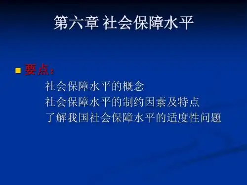 第六章 社会保障水平