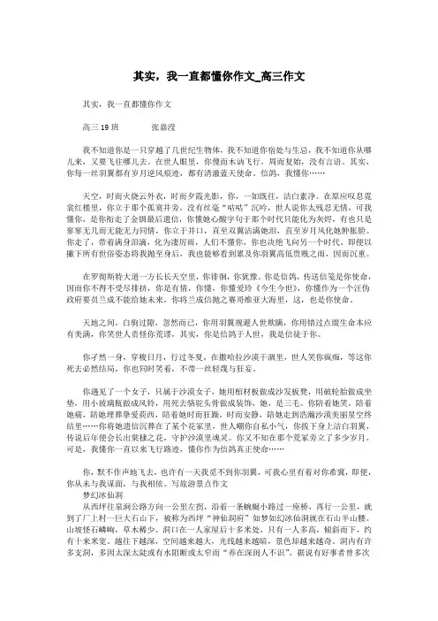 其实,我一直都懂你作文_高三作文.doc