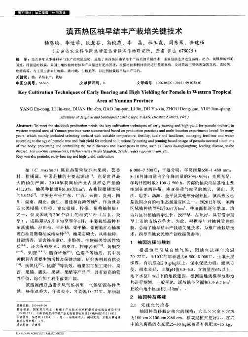 滇西热区柚早结丰产栽培关键技术