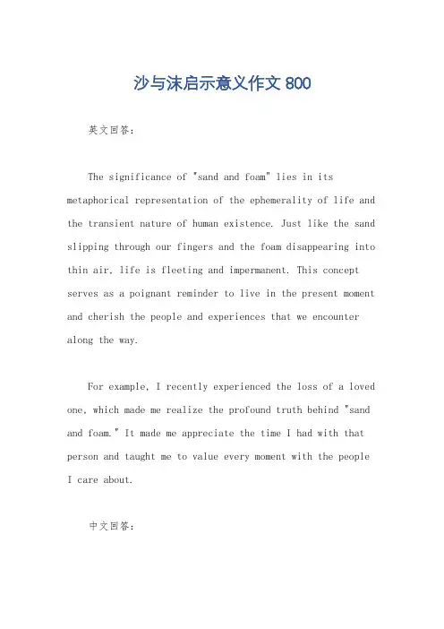 沙与沫启示意义作文800