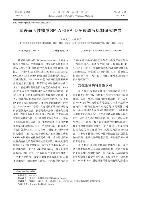 肺表面活性物质SP-A和SP-D免疫调节机制研究进展