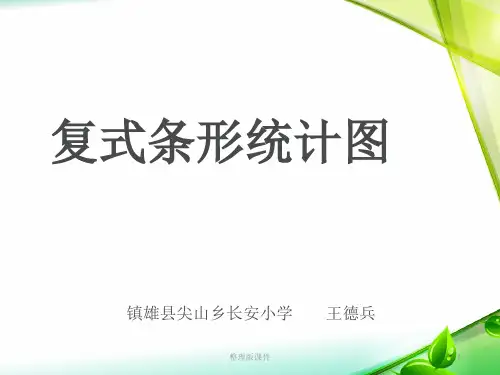 《复式条形统计图》完整ppt课件