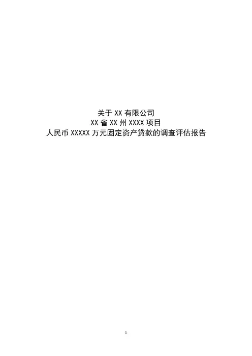 固定资产贷款(项目融资)调查报告模板