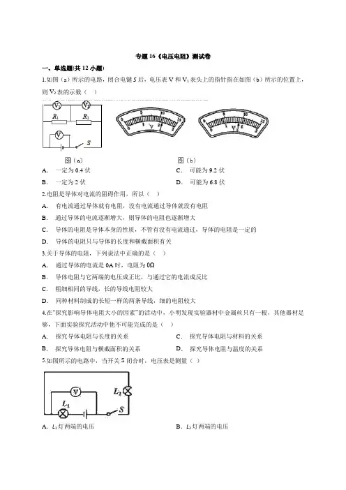2020学年度初三年级物理中考专题复习 《电压电阻》测试卷