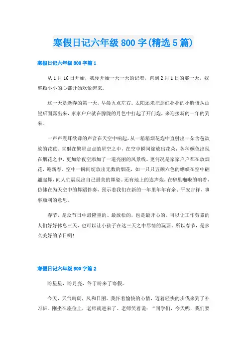 寒假日记六年级800字(精选5篇)