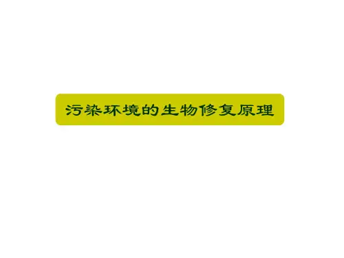 2环境修复技术-第二章原理
