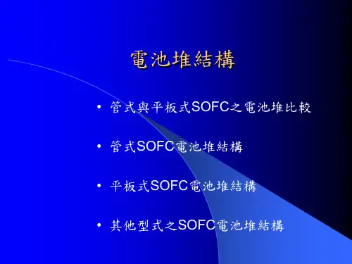 燃料电池报告 固态氧化物燃料电池 (电池堆结构)