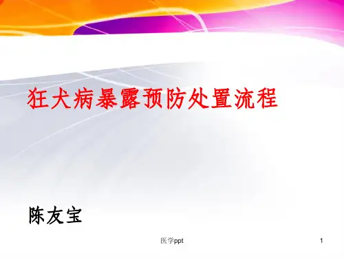 狂犬病暴露预防处置流程