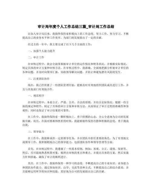 审计局年度个人工作总结三篇_审计局工作总结