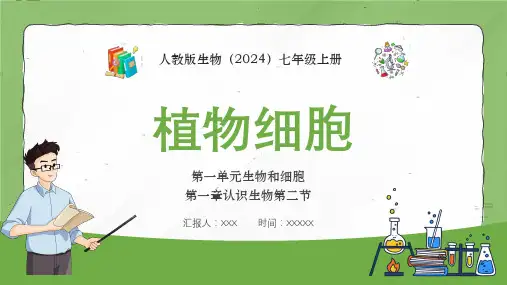 七年级生物上册《植物细胞》教学课件