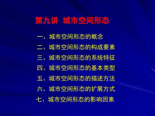 城市空间结构形态PPT课件
