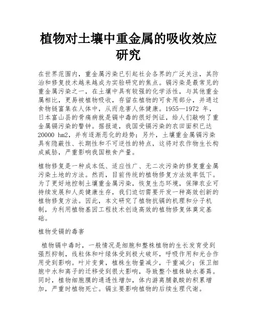 植物对土壤中重金属的吸收效应研究