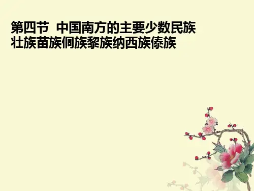 南方的少数名族