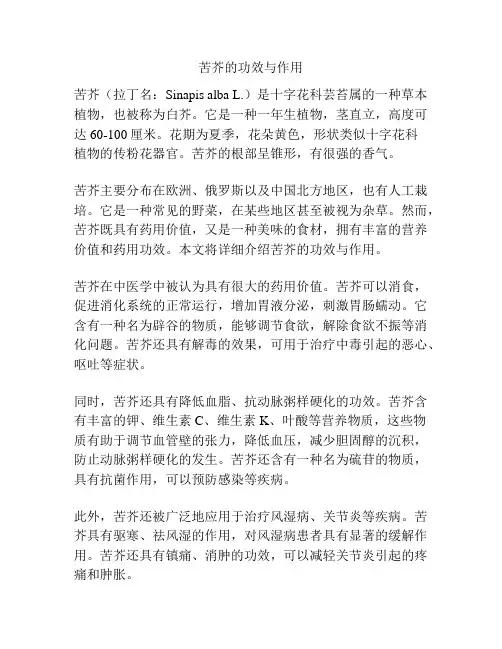 苦芥的功效与作用